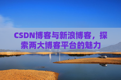 CSDN博客与新浪博客，探索两大博客平台的魅力